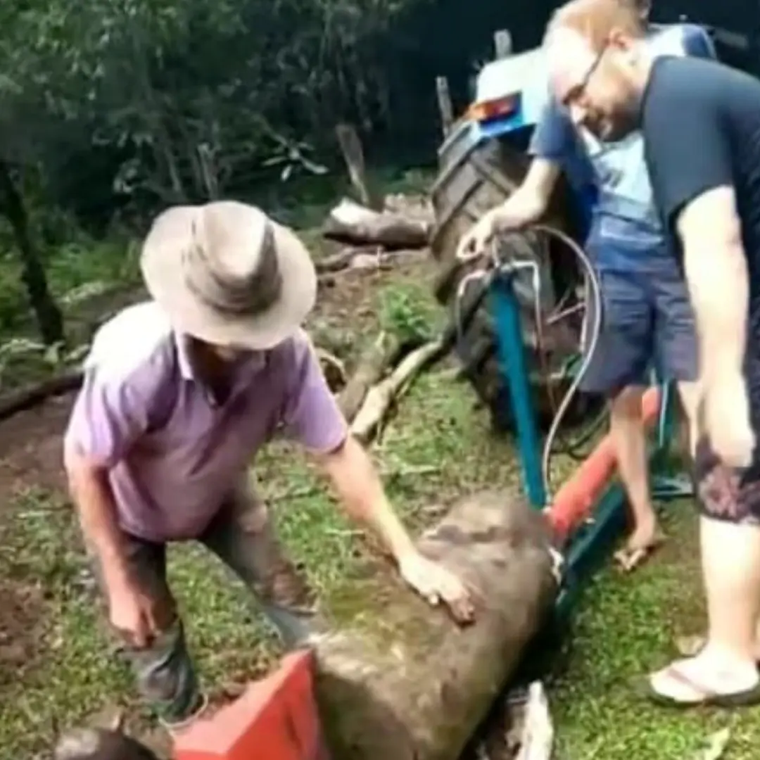 Vinicius Guidar, Irati-PR